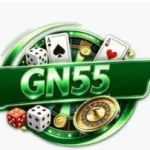 Gn55 Game apk